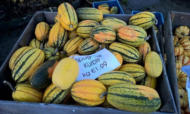 Obst und Gemüsehof Wurbs